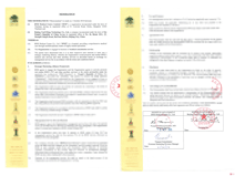 泰國(guó)試管嬰兒醫(yī)院BNH授權(quán)書