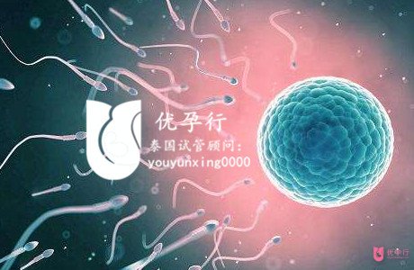 timg (6)_副本.jpg