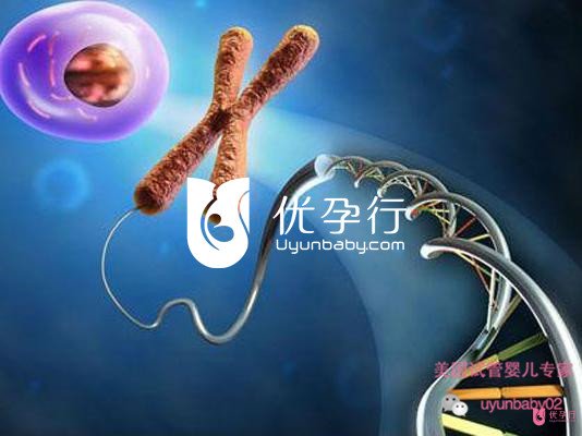 美國試管嬰兒