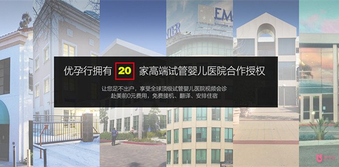 美國試管嬰兒
