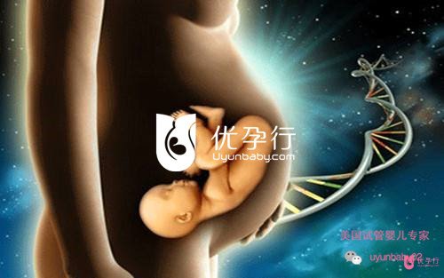 美國(guó)試管嬰兒