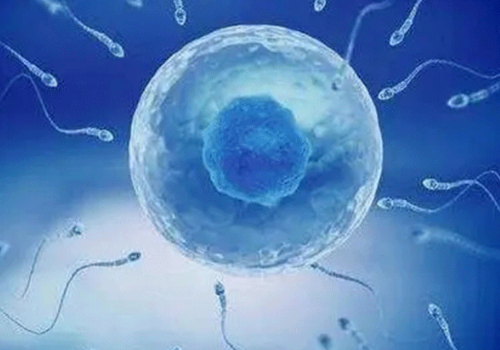 精子銀行不等同于精子庫(kù) - 第三代試管嬰兒/雙胞