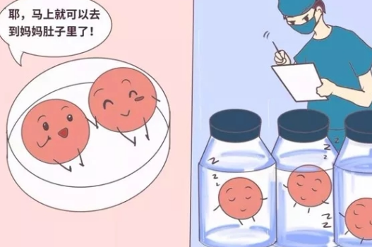 俄羅斯試管嬰兒：奮斗在一起不如有個孩子：記
