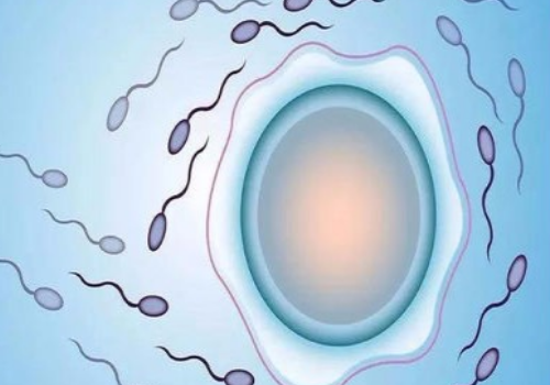 生孩子?小心這些坑爹的壞習(xí)慣 - 第三代試管嬰兒