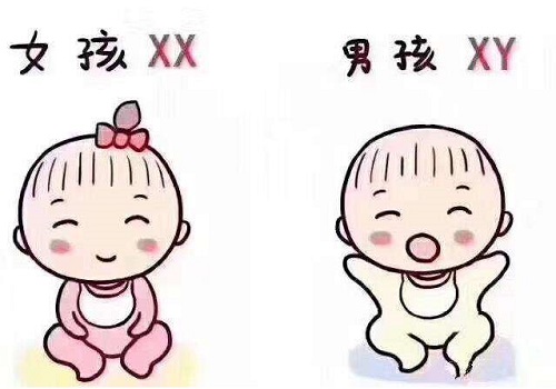 泰國試管嬰兒醫院有哪些