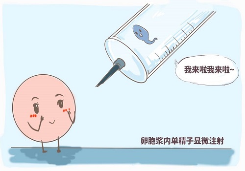 在俄羅斯做試管嬰兒要多少錢?