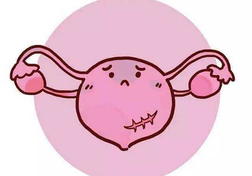 俄羅斯試管醫(yī)院排名榜中哪家好?